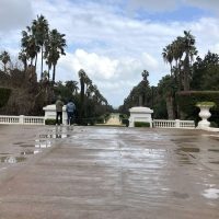 algiers botanical garden